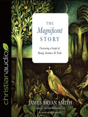 cover image of Magnificent Story